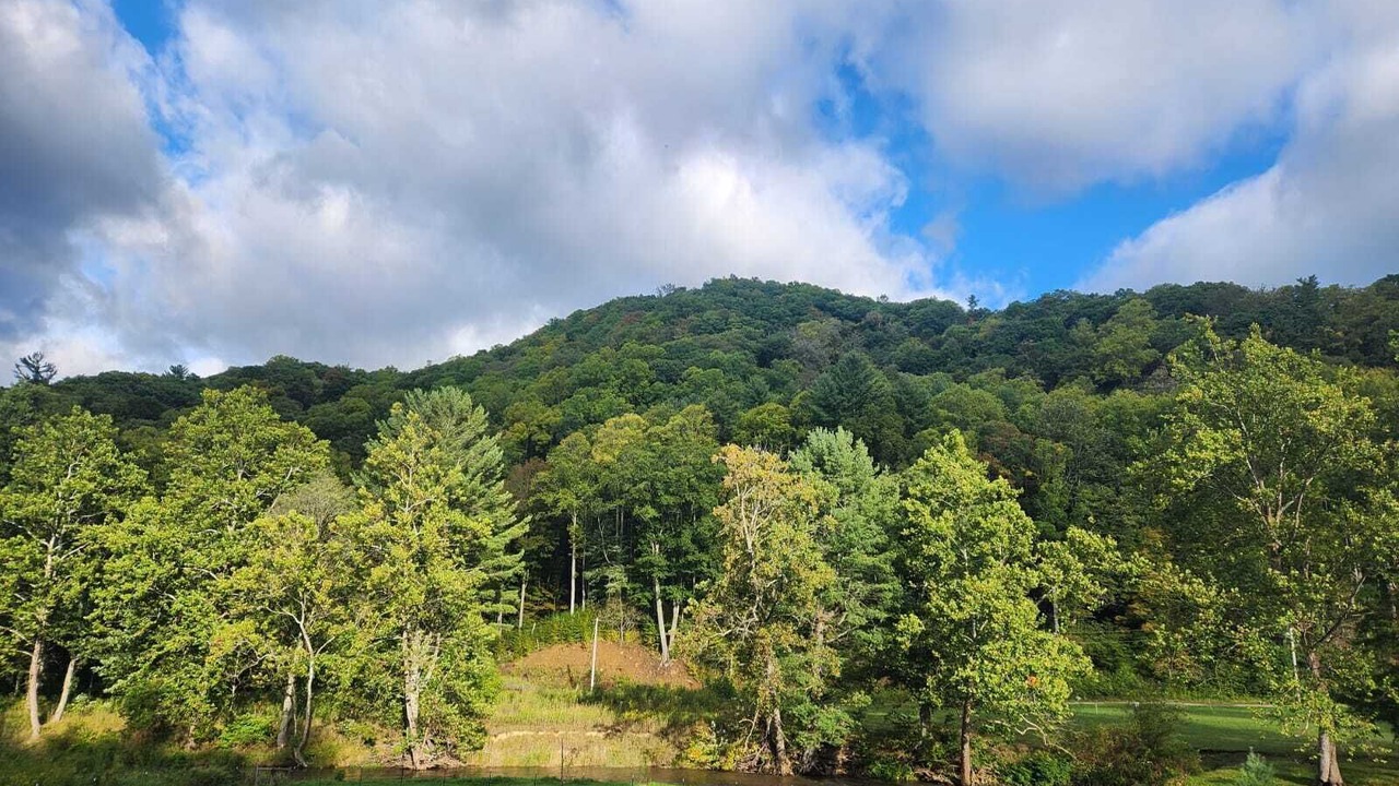 Photo of Outdoor in Elk Park