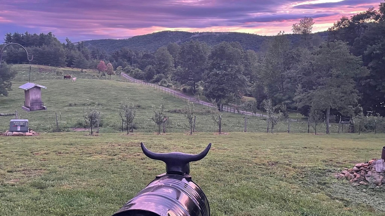 Photo of Outdoor in Newland