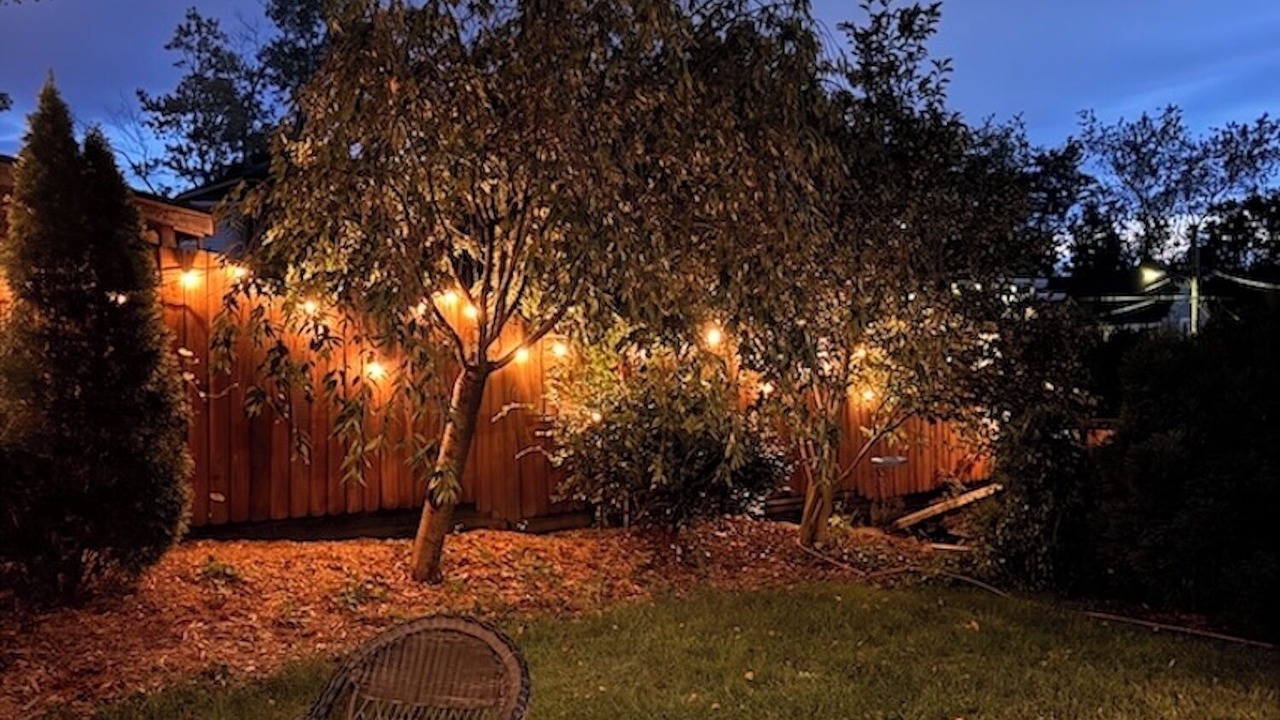 Photo of Outdoor in Five Points