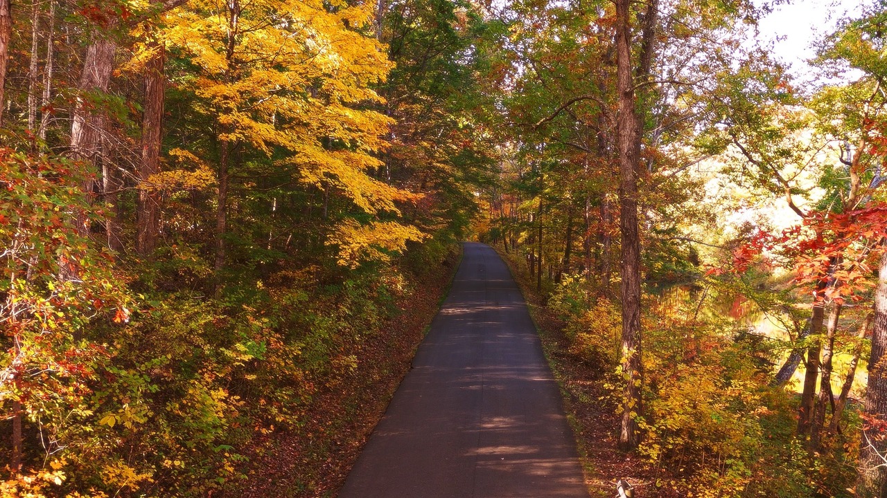 Photo of Others in Blue Creek