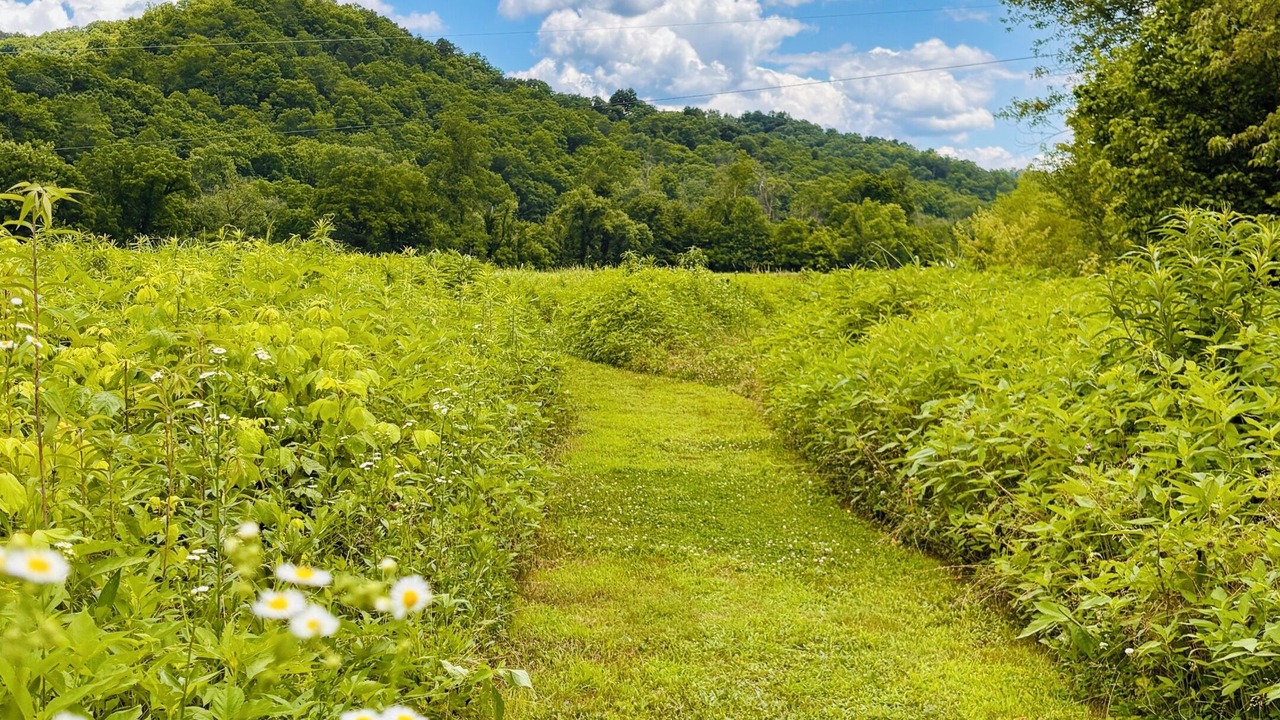 Photo of Outdoor in Stanton