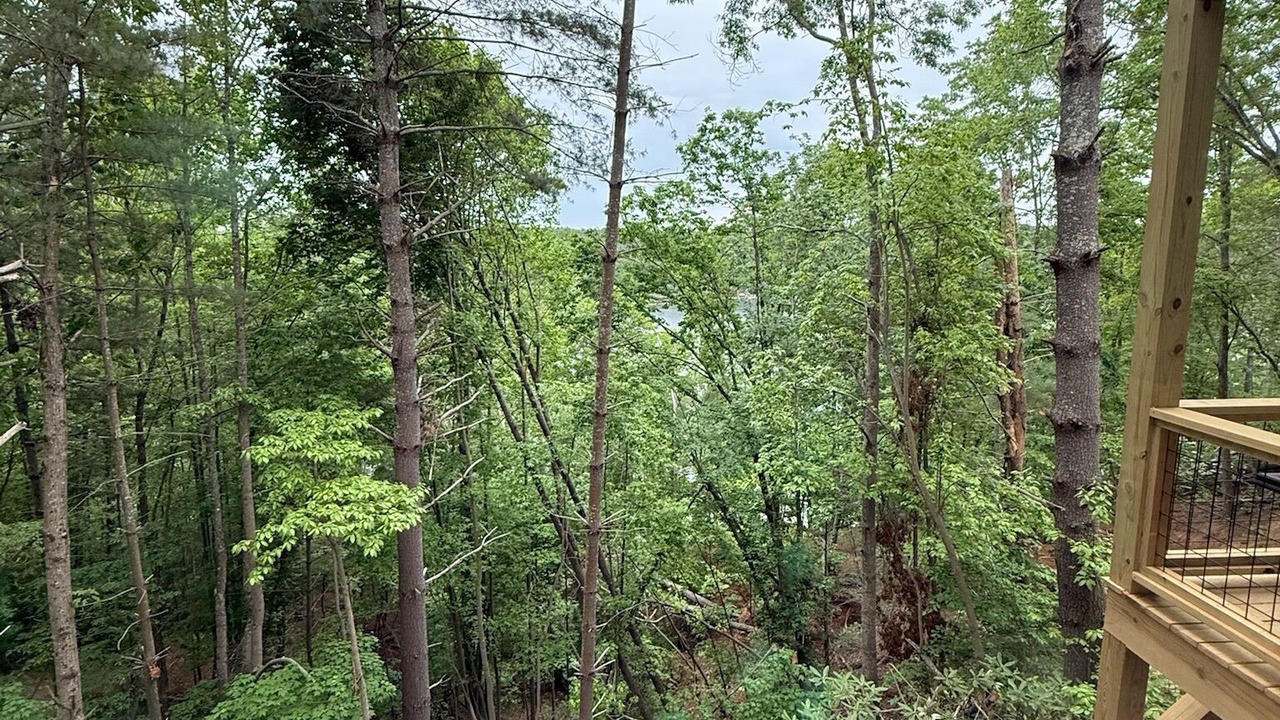 Photo of Outdoor in Nebo