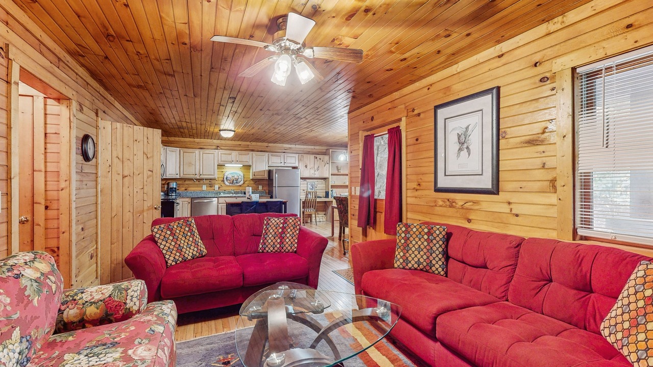 Photo of Livingroom in Elk Park