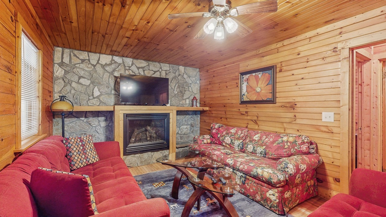 Photo of Livingroom in Elk Park