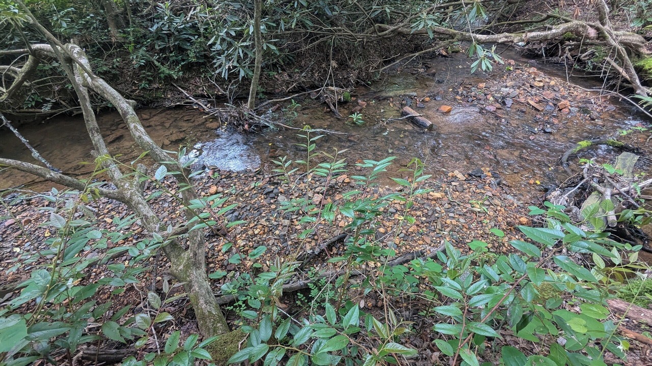Photo of Others in Transylvania County