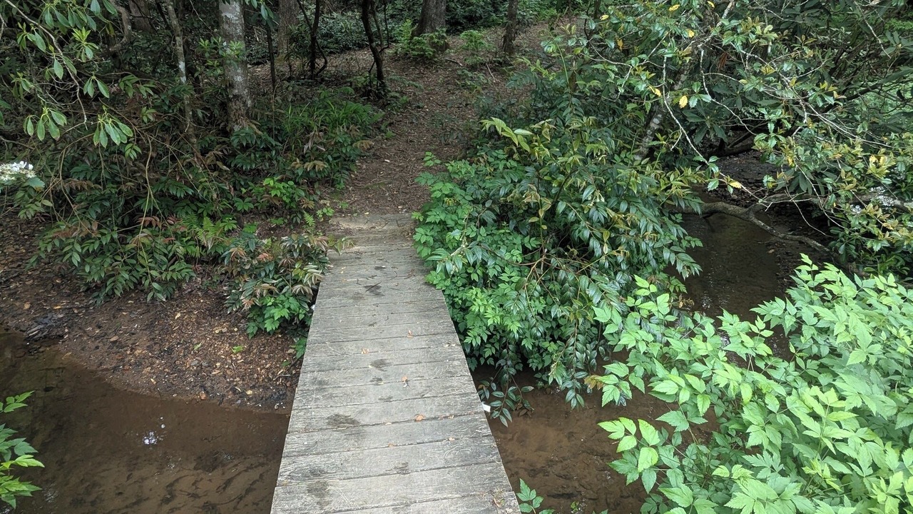 Photo of Outdoor in Transylvania County