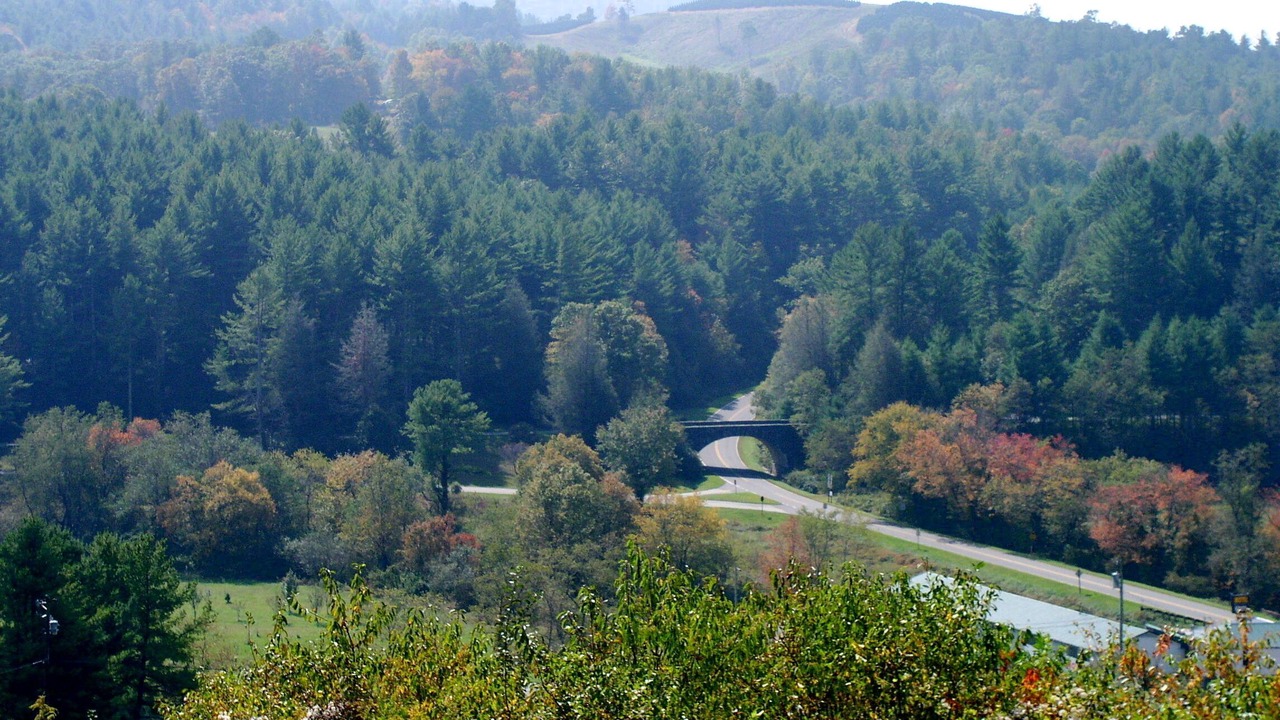 Photo of Others in Laurel Springs