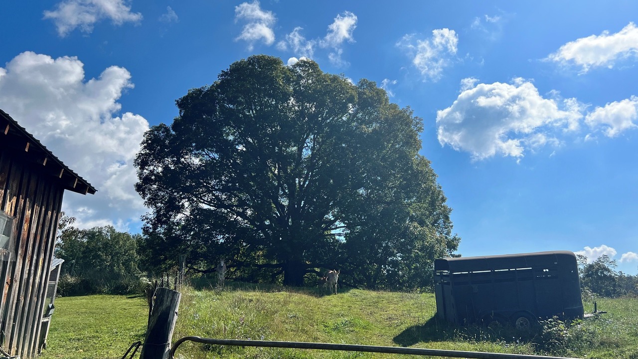 Photo of Outdoor in Mountain City