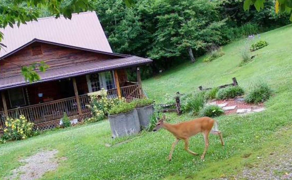 Photo of Outdoor in Mountain City
