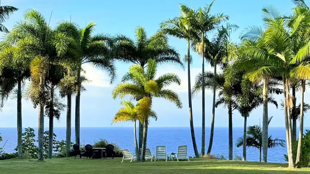 Photo of Outdoor in Hakalau