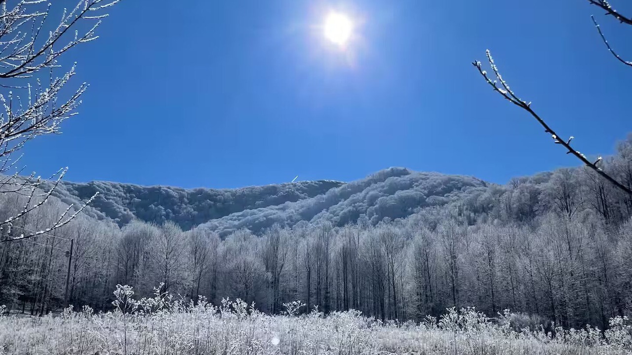 Photo of Others in Roan Mountain