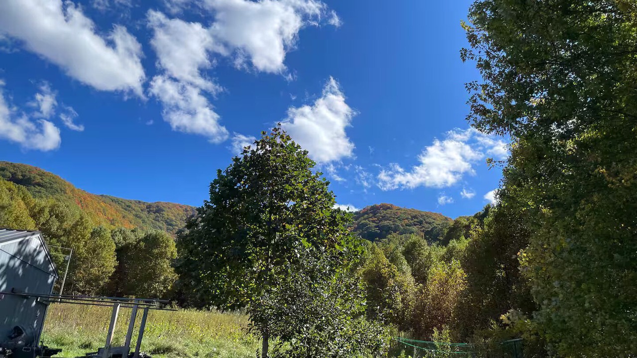 Photo of Others in Roan Mountain