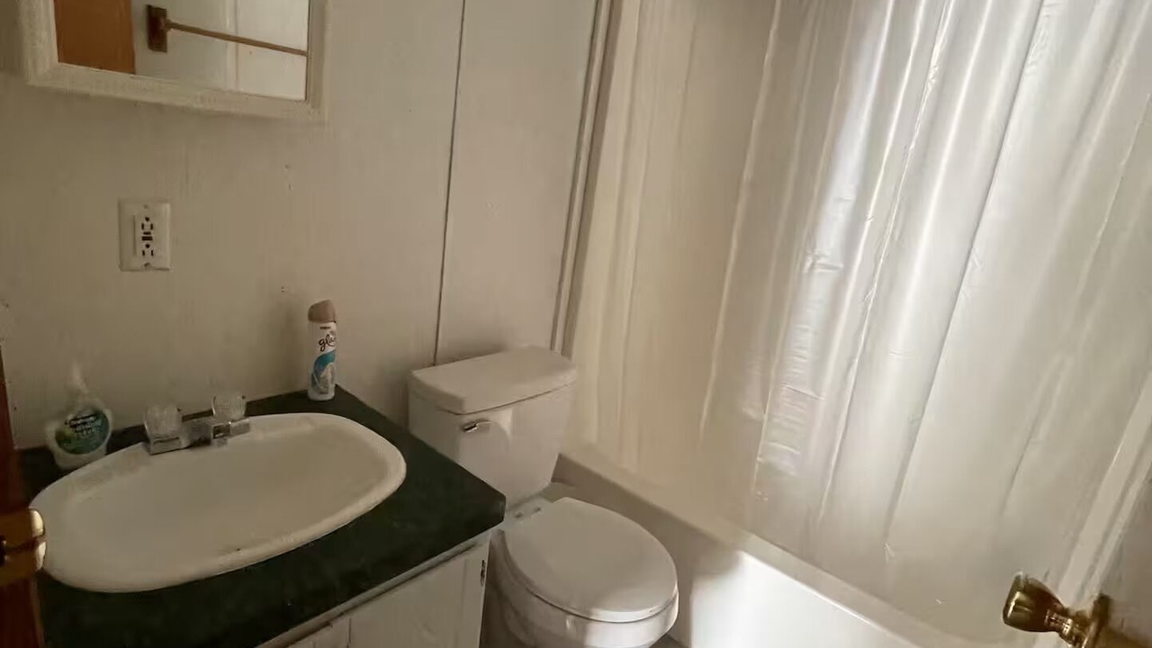 Photo of Bathroom in Roan Mountain