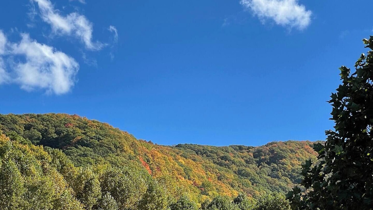 Photo of Others in Roan Mountain