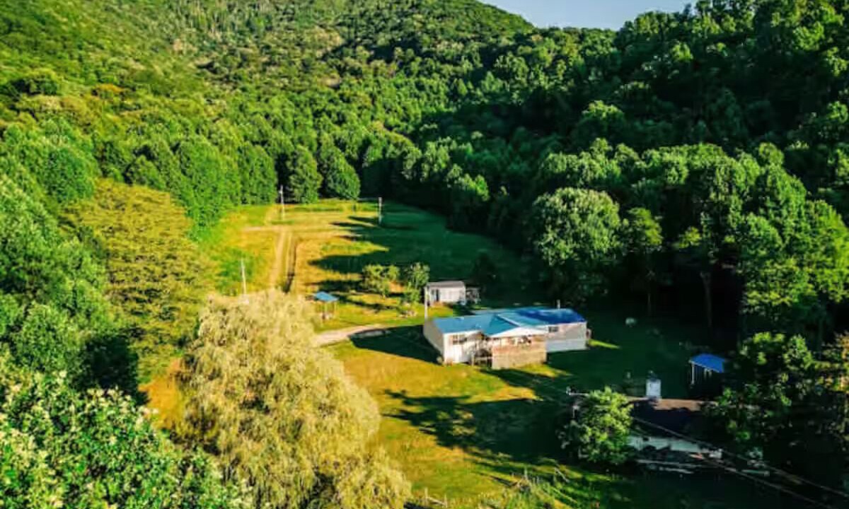 Photo of Outdoor in Roan Mountain