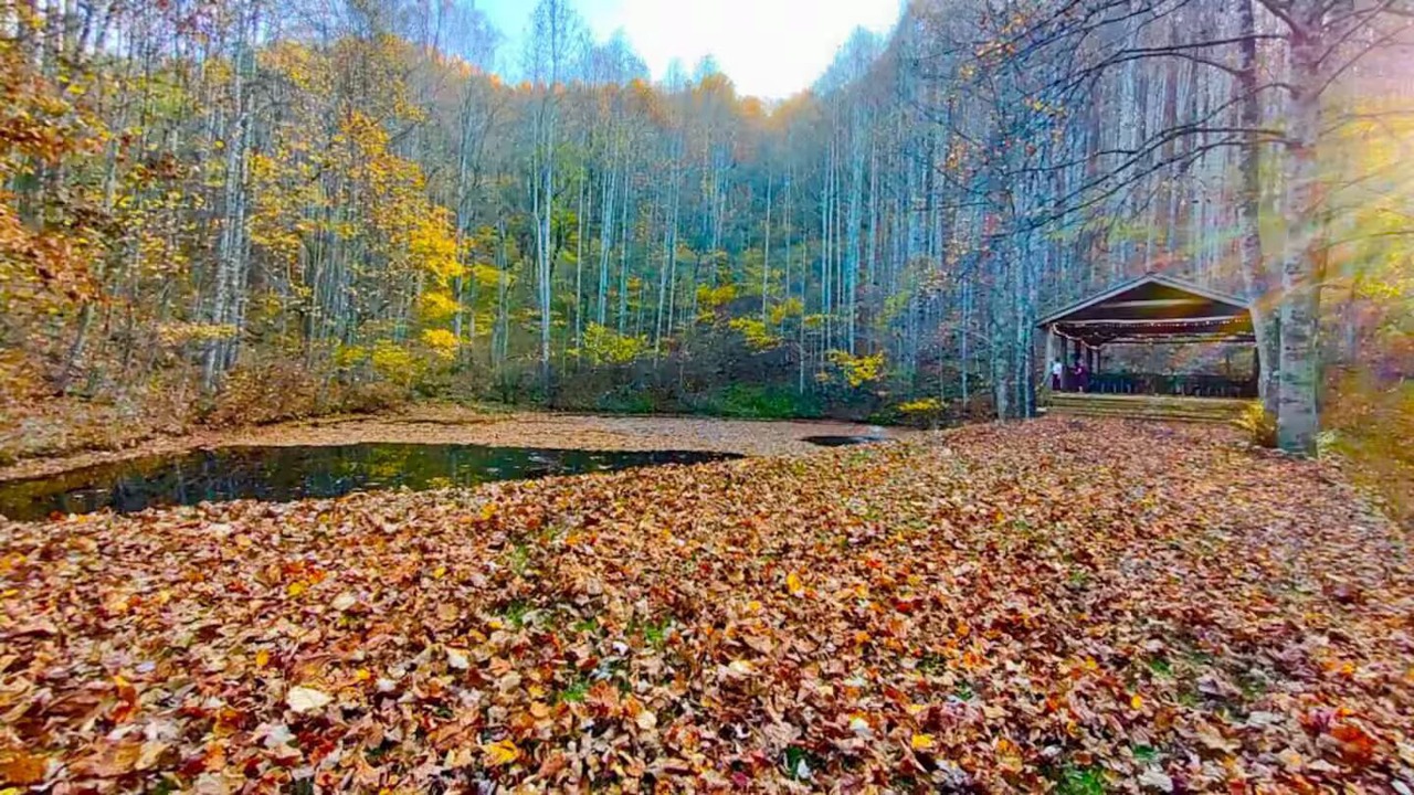 Photo of Others in Roan Mountain