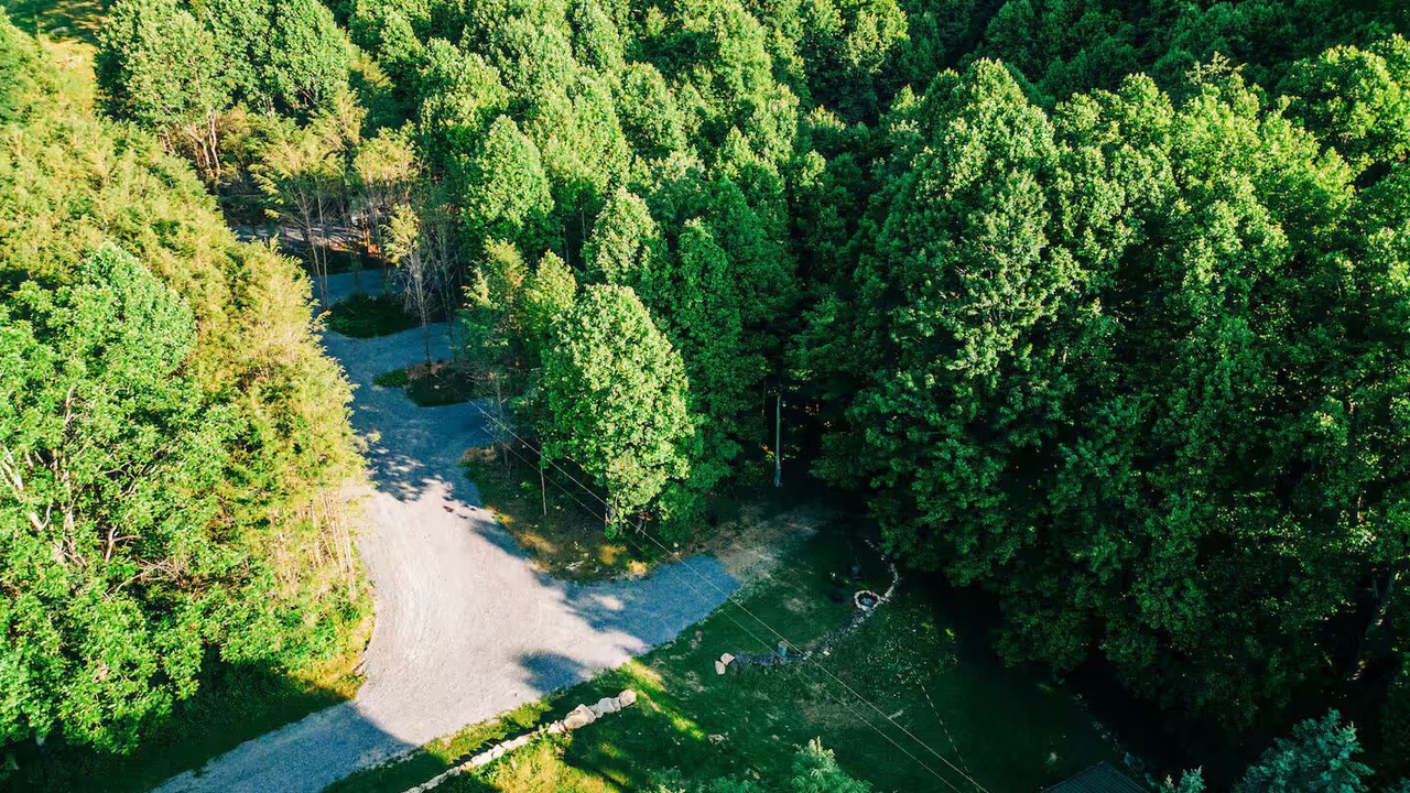 Photo of Outdoor in Roan Mountain