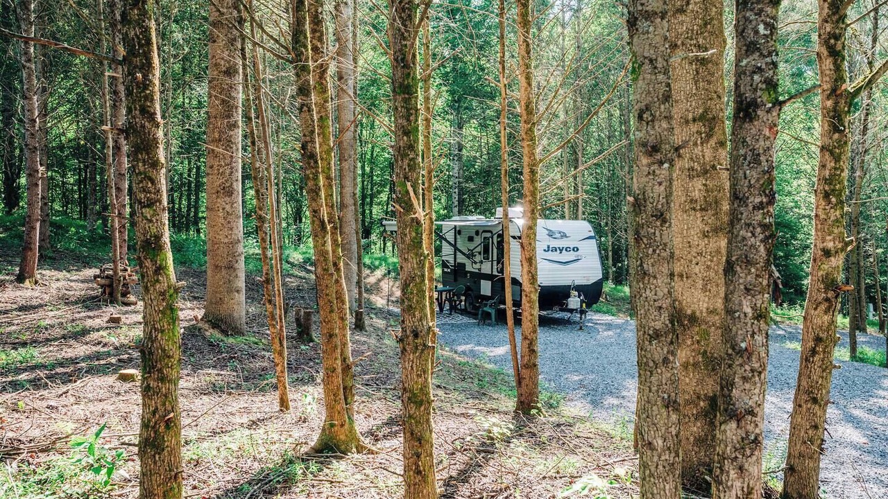 Photo of Others in Roan Mountain