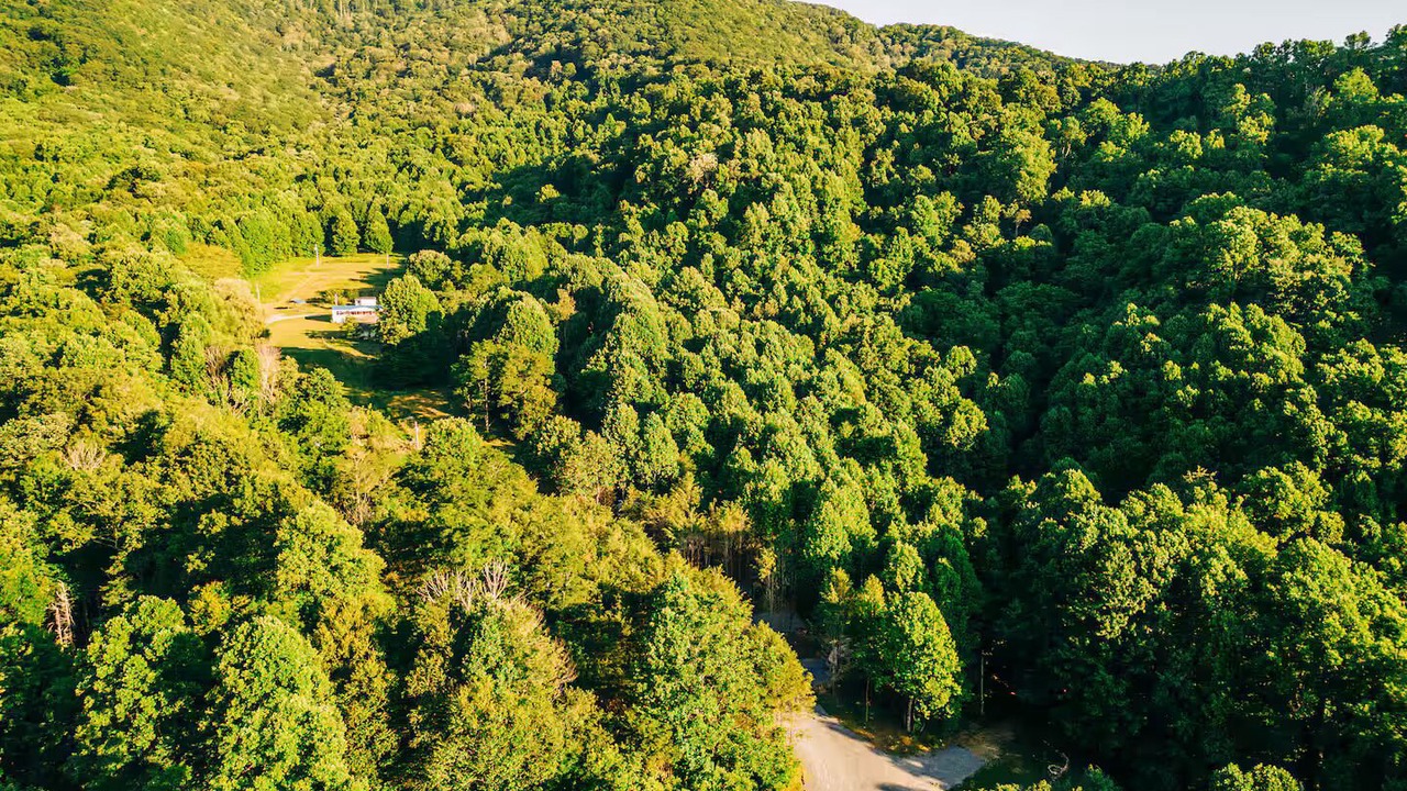 Photo of Outdoor in Roan Mountain