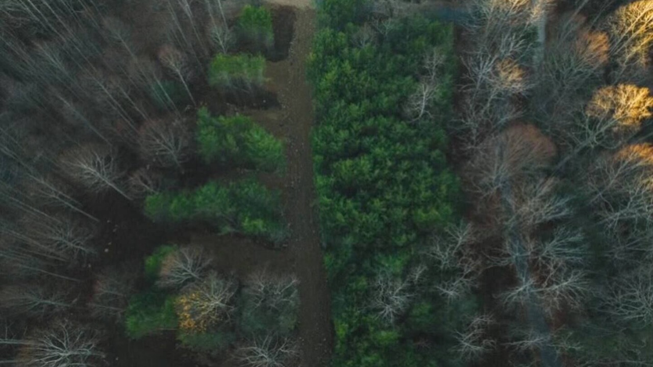 Photo of Outdoor in Roan Mountain