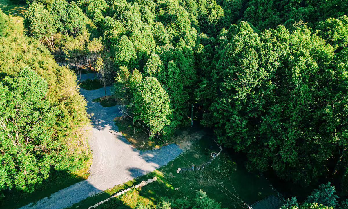 Photo of Outdoor in Roan Mountain