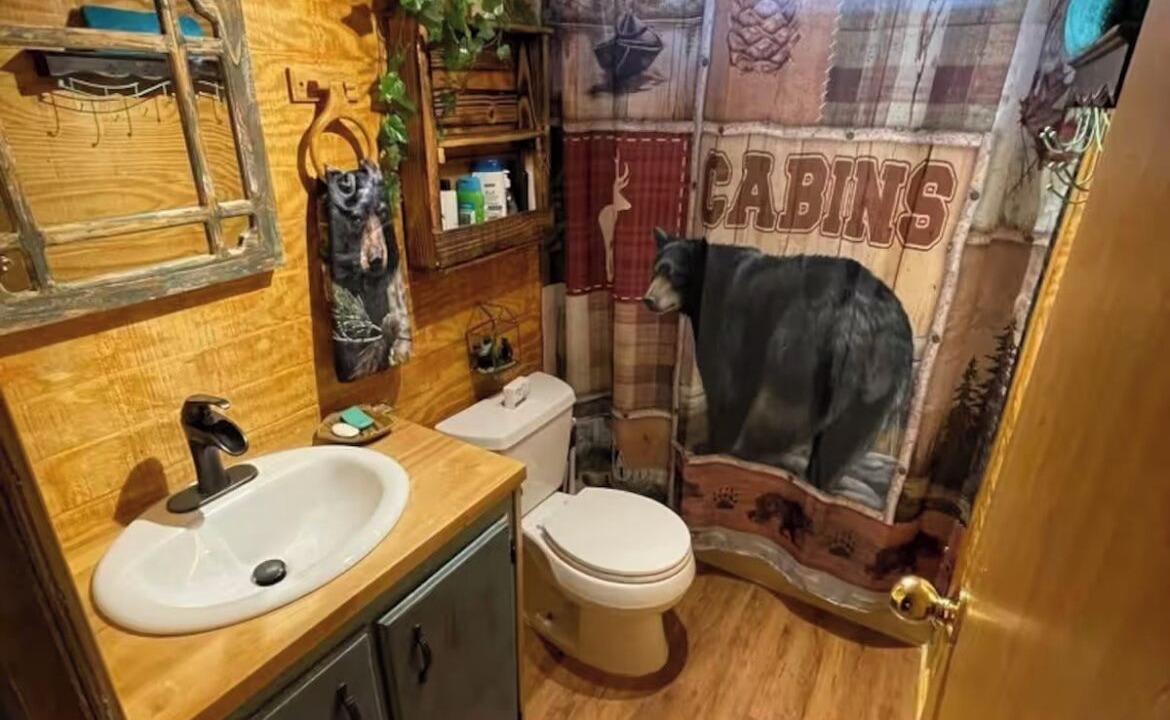 Photo of Bathroom in Roan Mountain