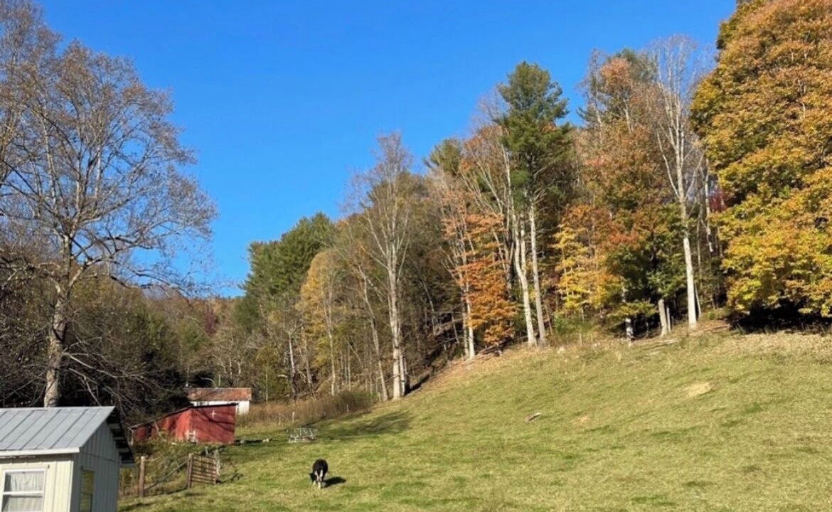 Photo of Others in Roan Mountain