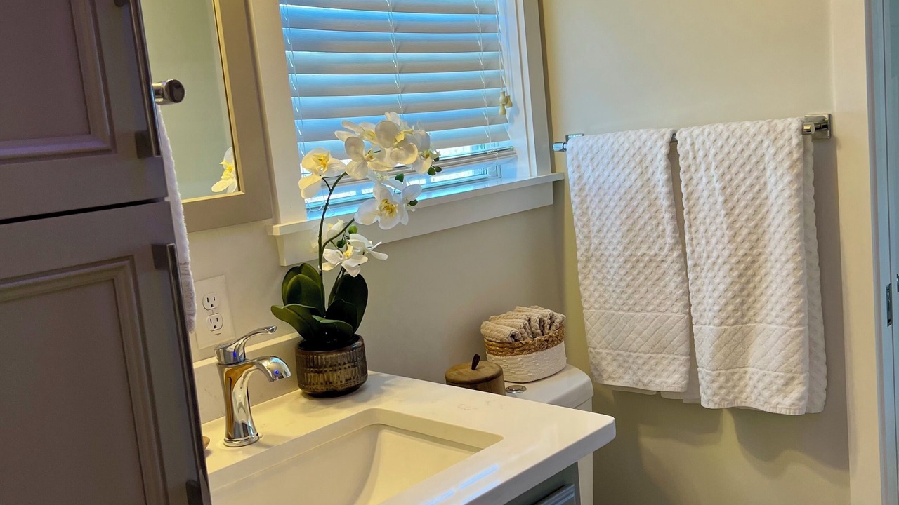 Photo of Bathroom in Woodfin