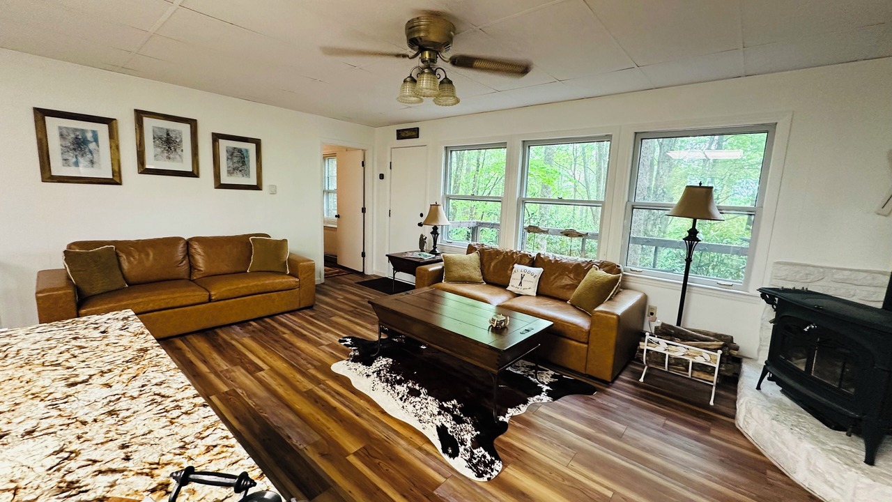 Photo of Livingroom in Beech Mountain