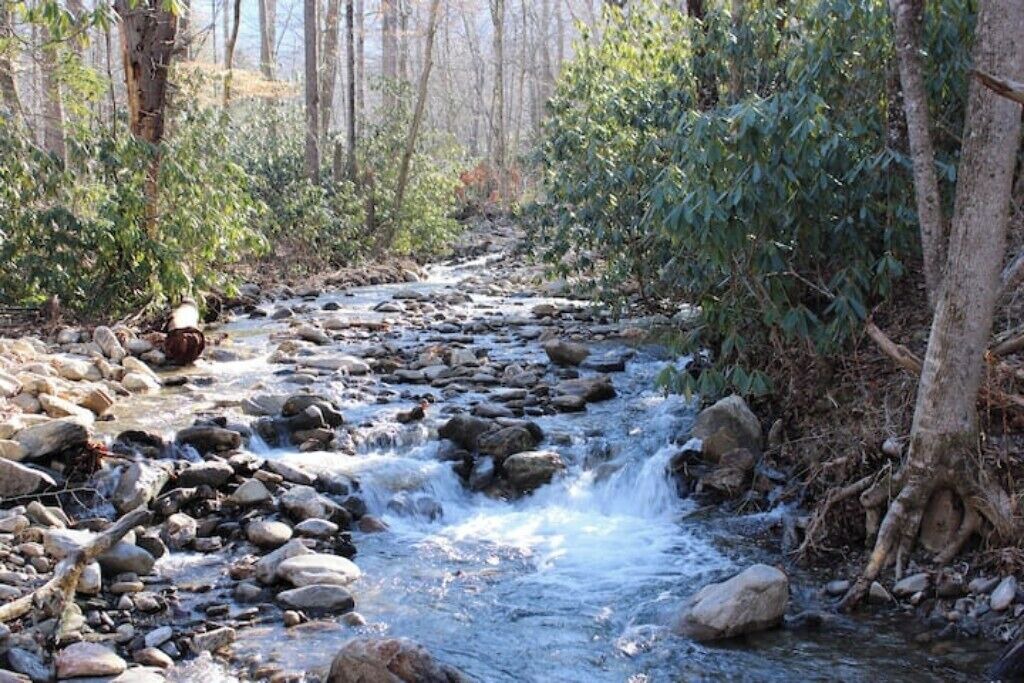Photo of Others in Candler