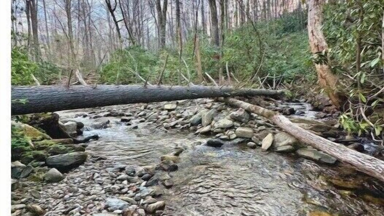 Photo of Others in Candler