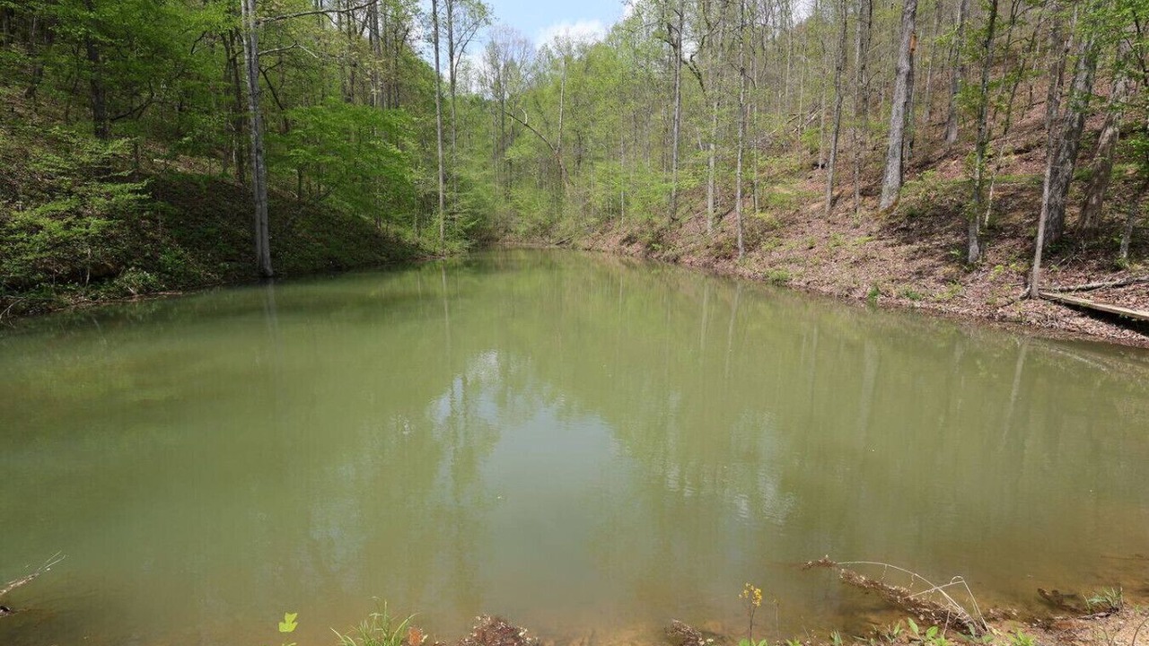 Photo of Others in Lee City