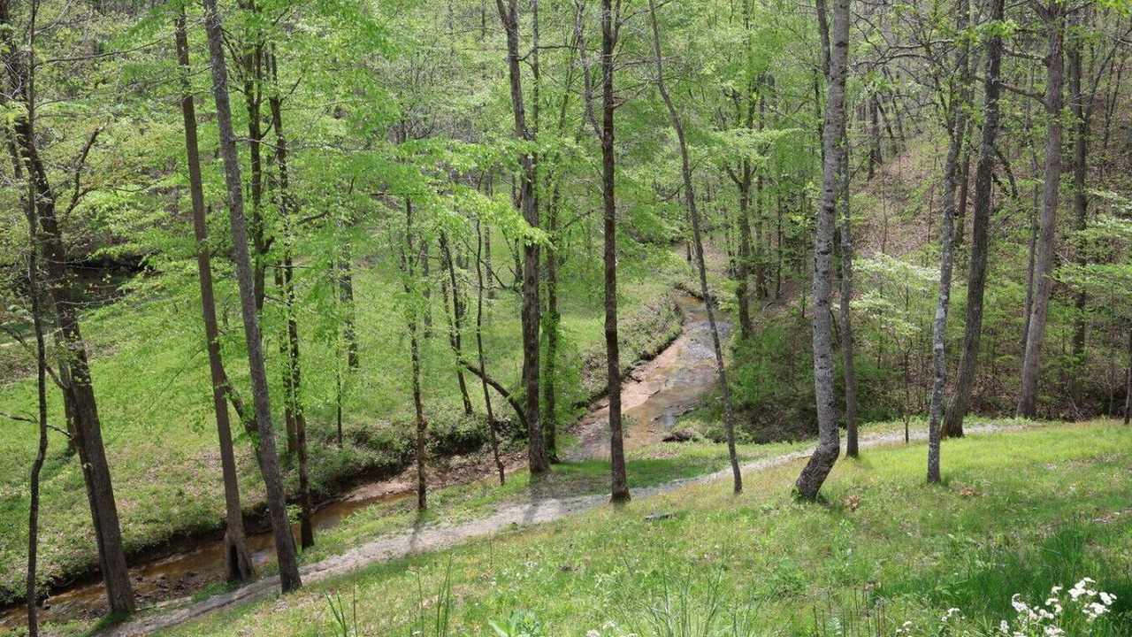 Photo of Others in Lee City