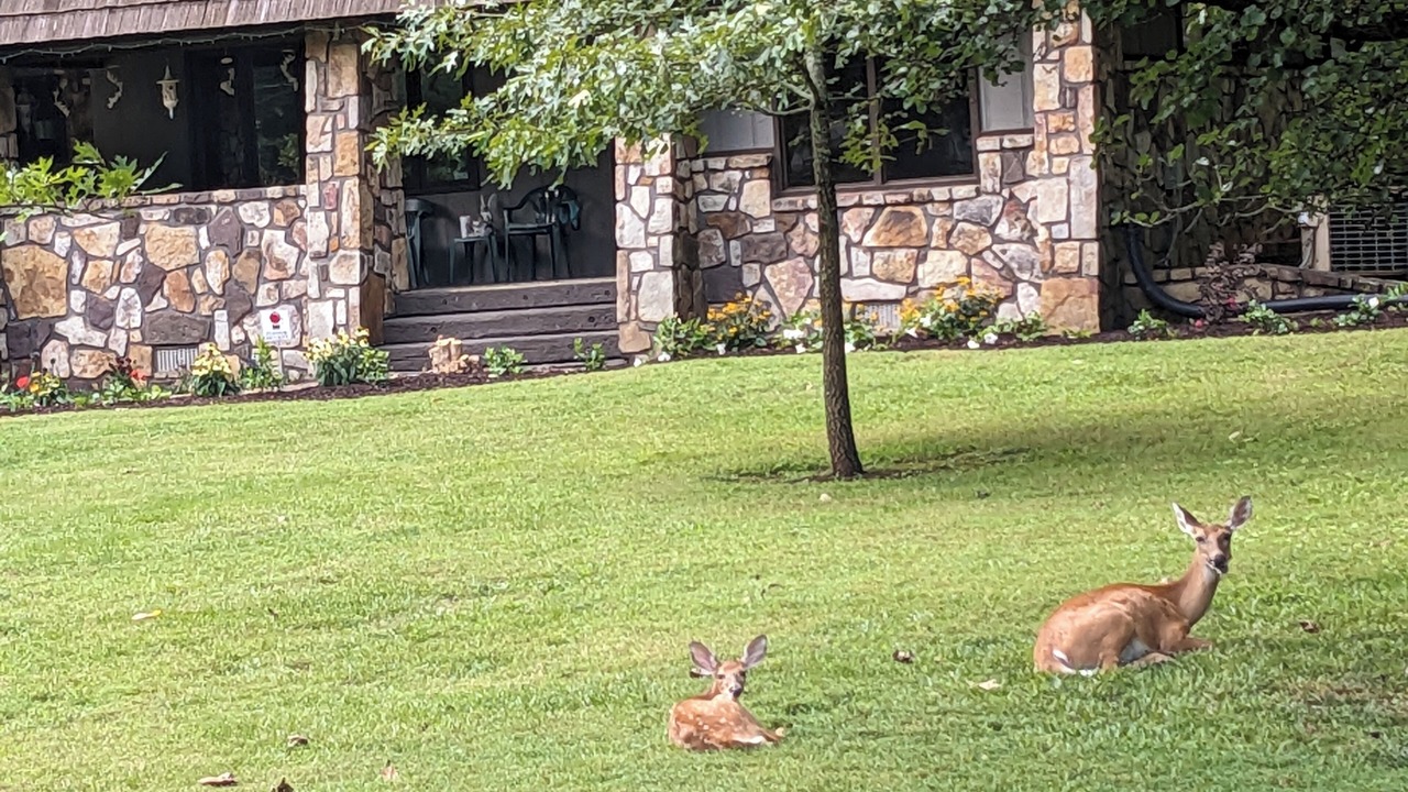 Photo of Others in Oak Grove