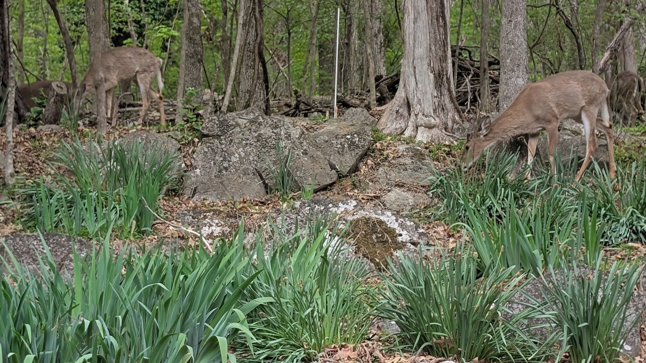 Photo of Others in Oak Grove