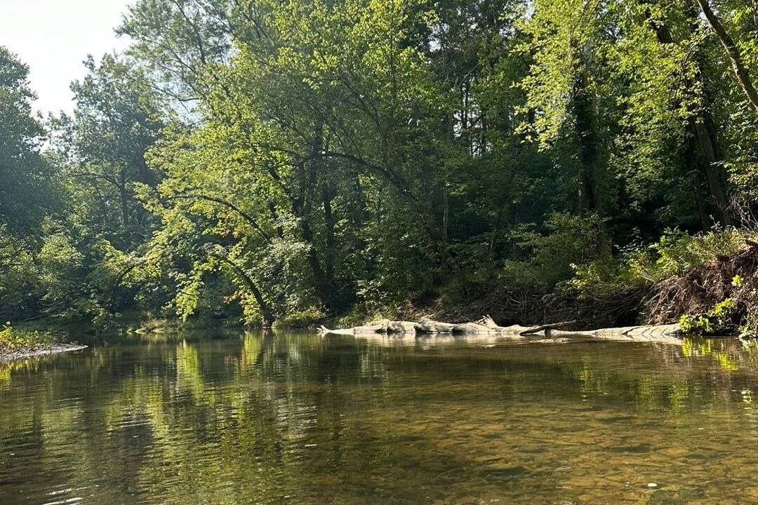 Photo of Others in Hedgesville
