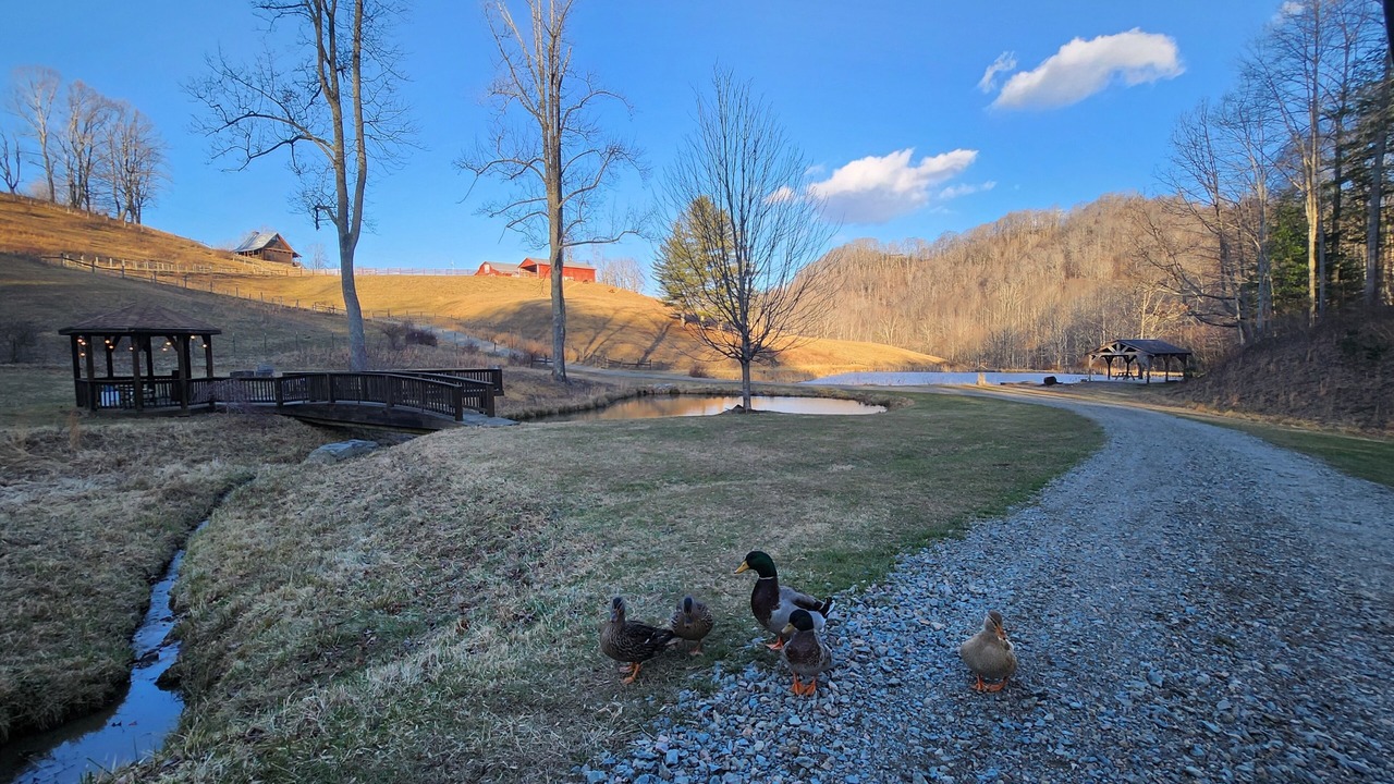 Photo of Outdoor in Frank