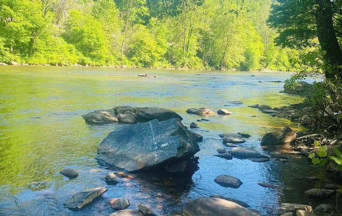Photo of Others in Green Mountain