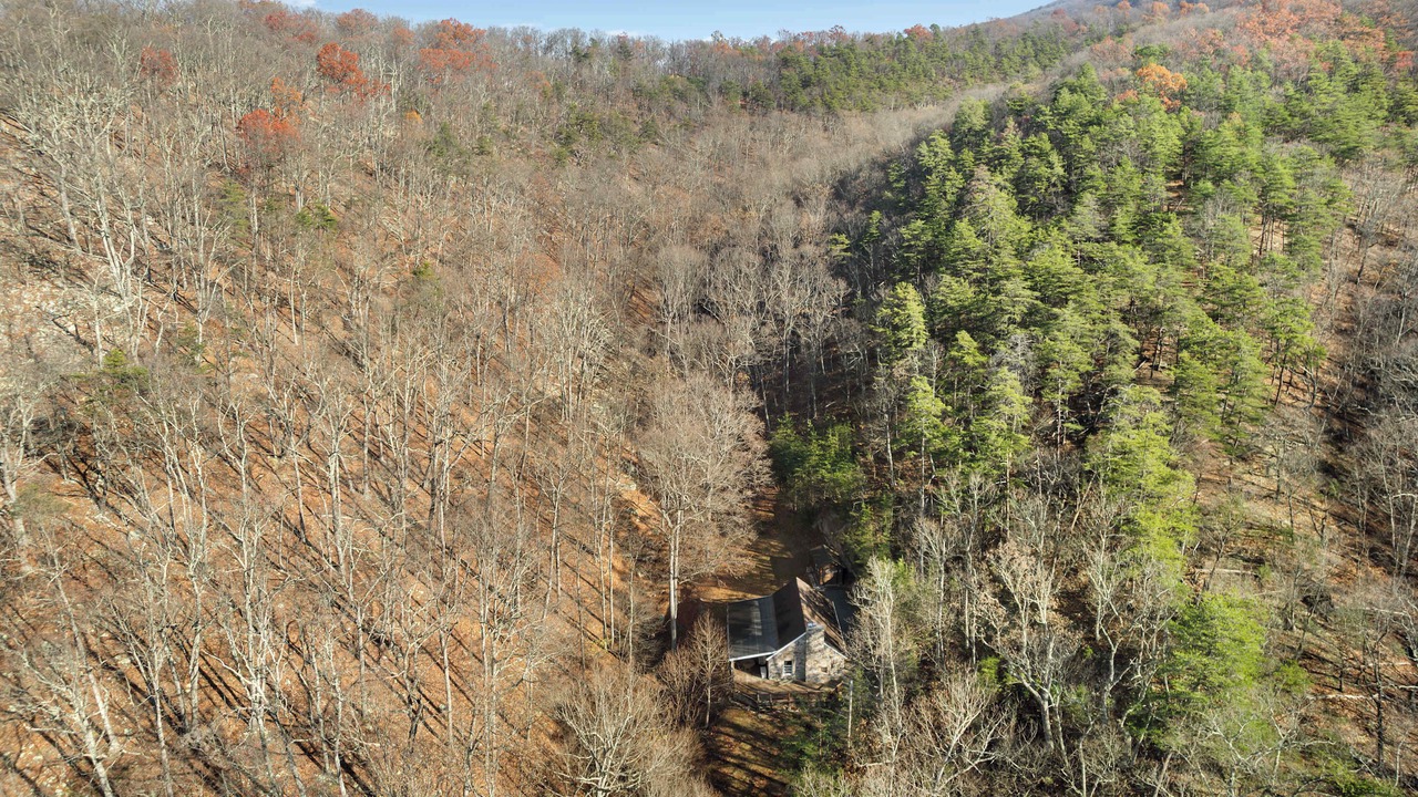 Photo of Others in Great Cacapon