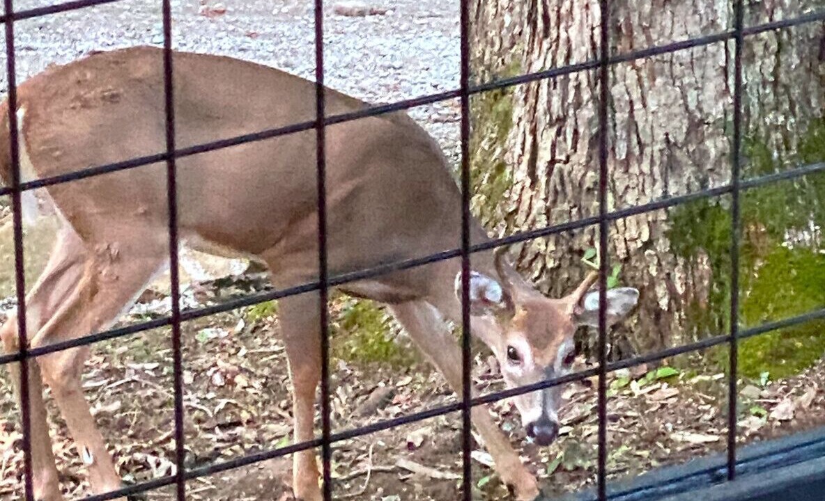 Photo of Others in Perry Park