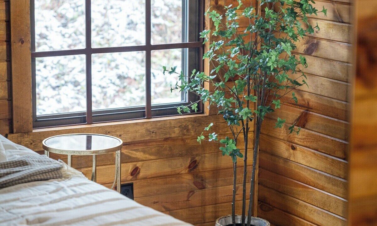 Photo of Bedroom in Elizaville