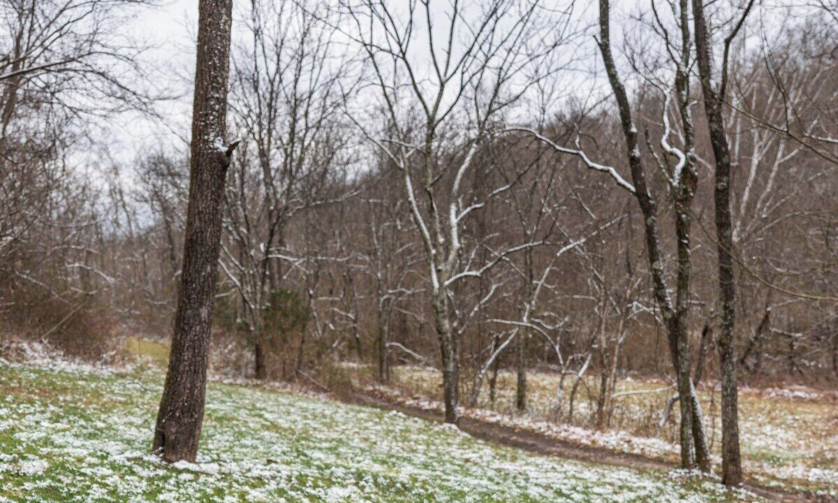 Photo of Others in Elizaville