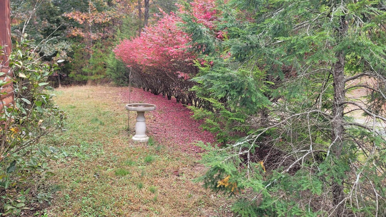 Photo of Outdoor in Columbus