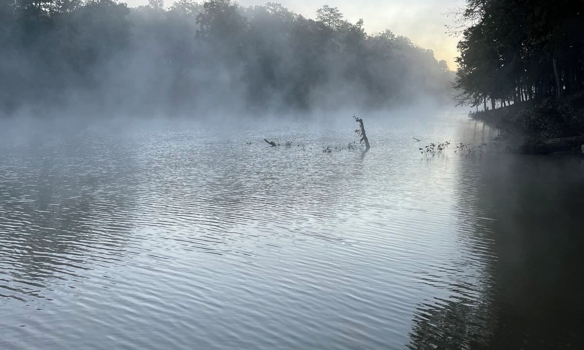 Photo of Others in Mill Spring