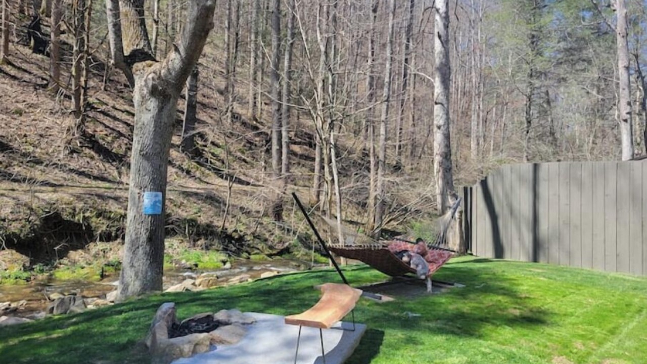 Photo of Outdoor in Flag Pond