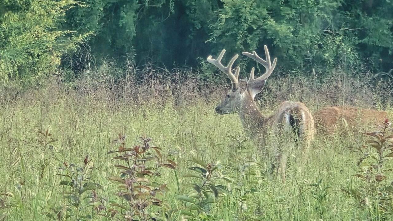 Photo of Others in Dandridge
