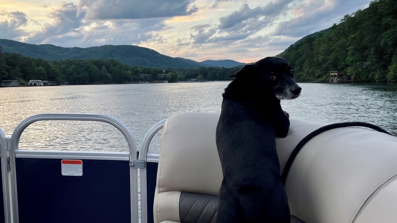 Photo of Outdoor in Lake Lure