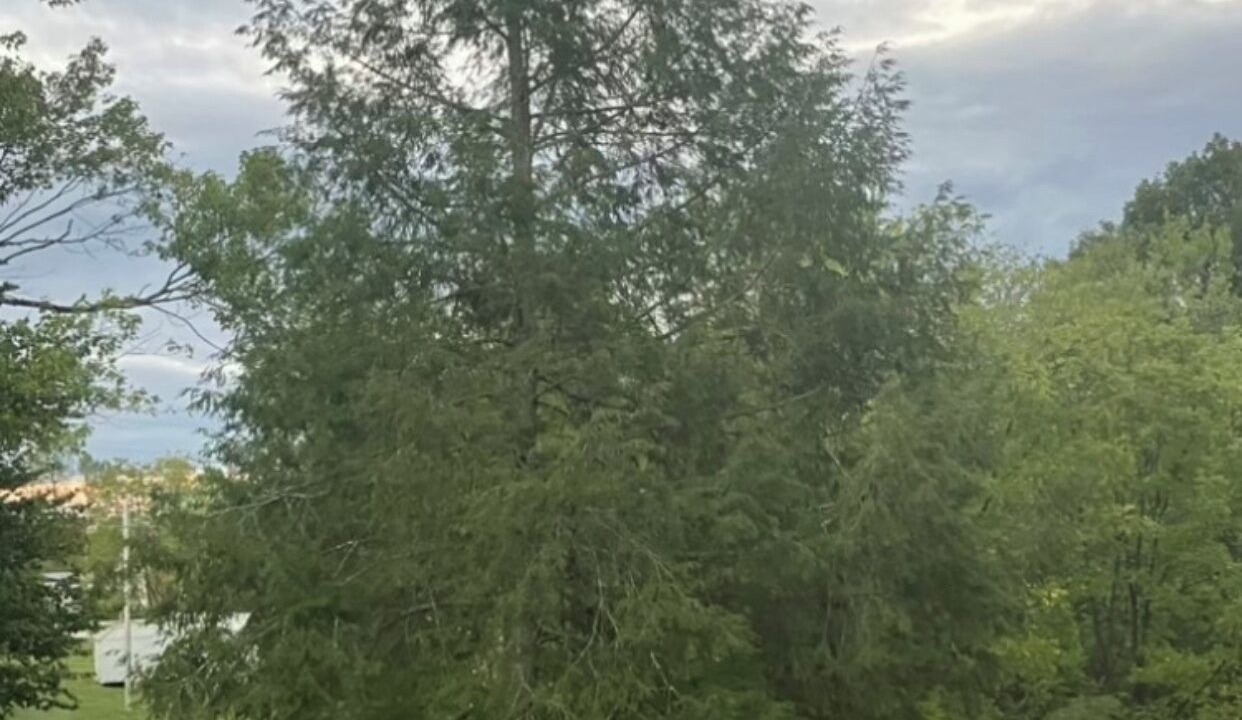 Photo of Outdoor in West Liberty
