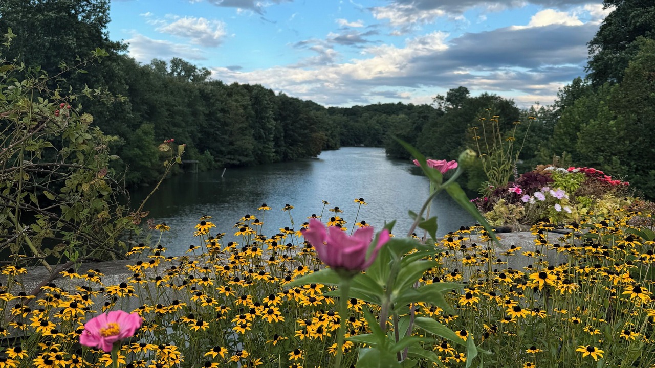 Photo of Others in Lake Lure