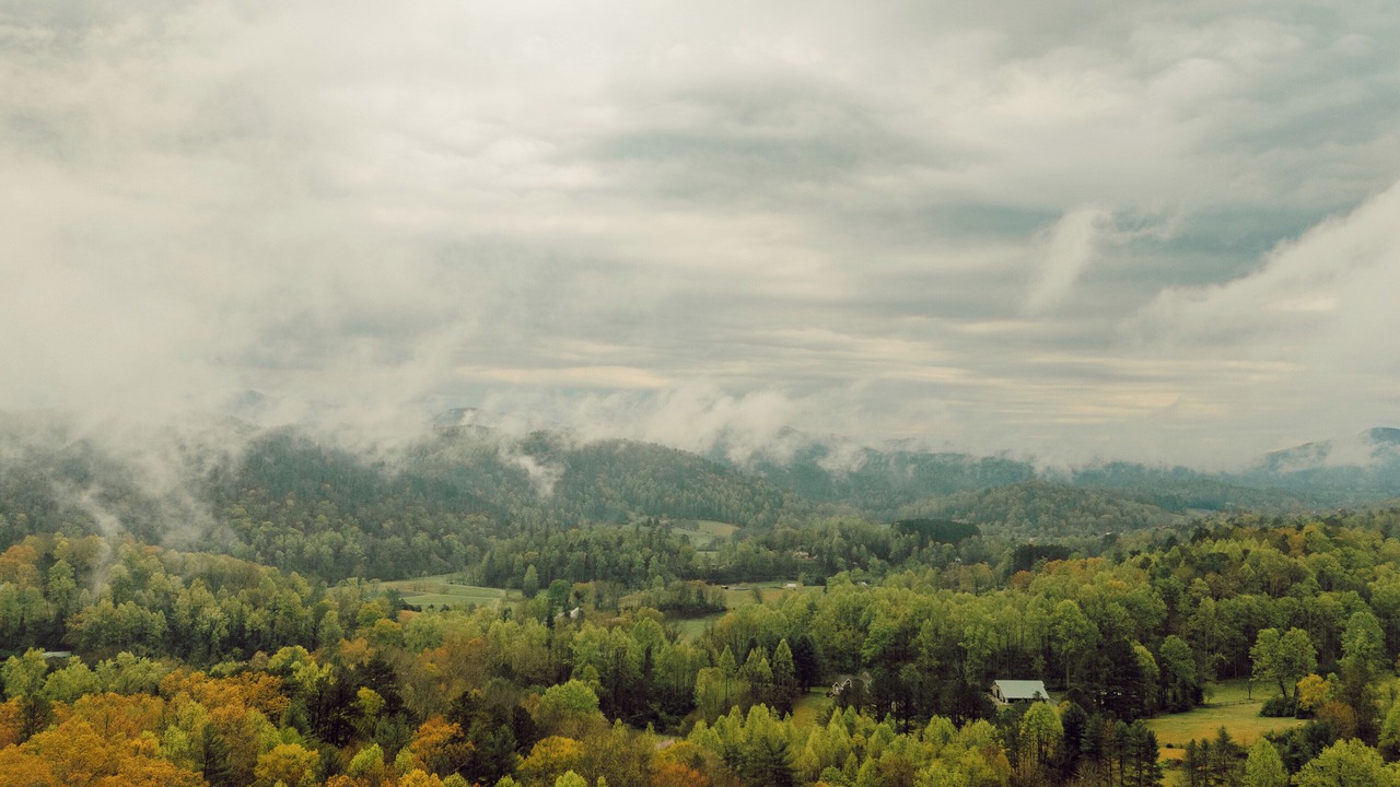 Photo of Others in Townsend